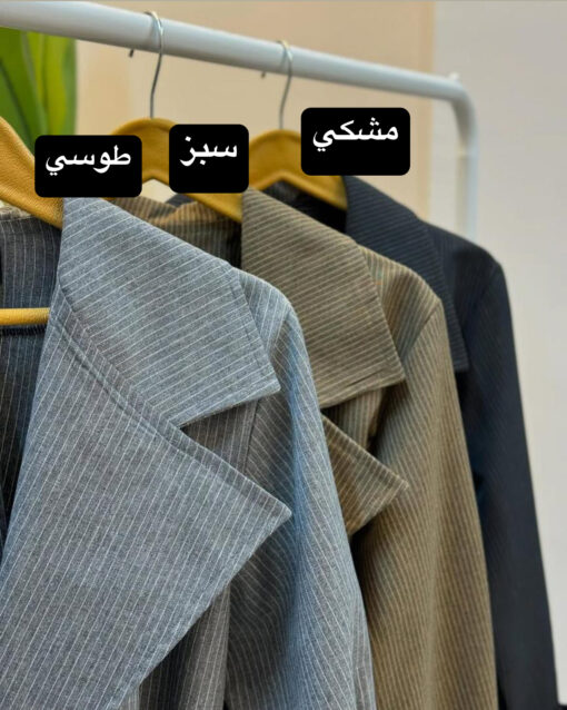 کت شلوار دیپلمات تينا T كد 8461467 - تصویر 2